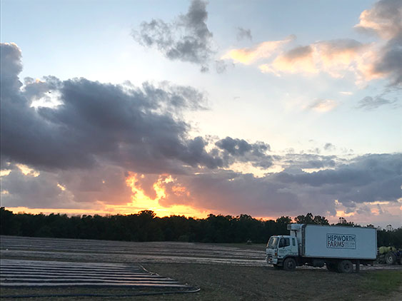 Sunrise Field Truck