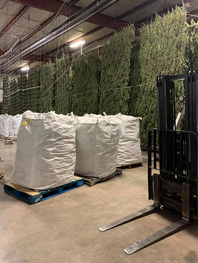 hemp hanging then in sacks