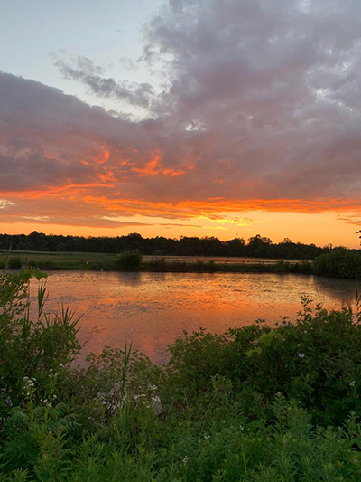 sunset over field and pond
