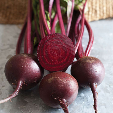 baby beet