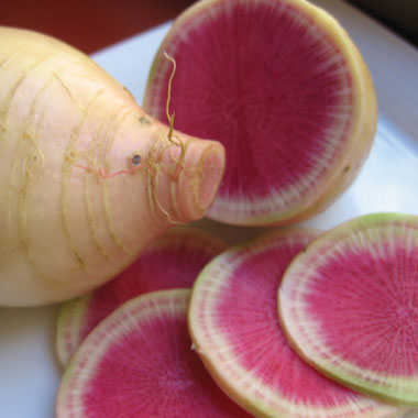 Watermelon radish